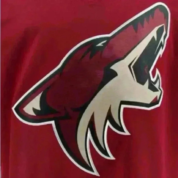 🆕Youth  | Arizona Coyotes NHL Breakaway Jersey - Picture 4 of 15